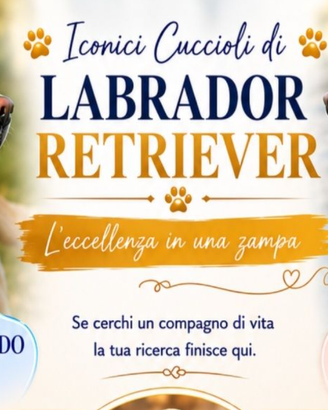 CUCCIOLO FIGLIO CAMPION (CESSIONE TOTALE)  1.100 €