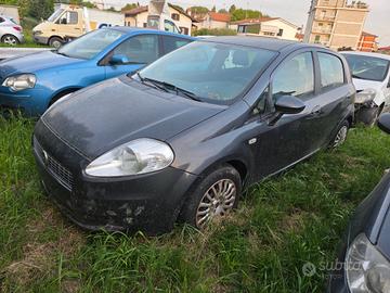 Fiat Punto Evo 1.3 Mjt 75 CV 5 porte Active