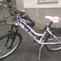 MTB Olmo "AvventuraMountain Bike24"