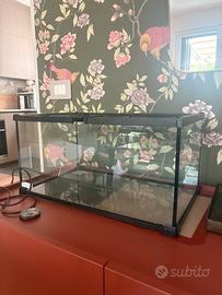 Terrario 50x30x25