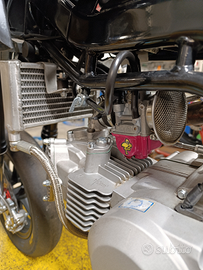 Pitom arrabbiata 2023