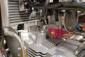 Pitom arrabbiata 2023