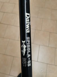 Canna da pesca DAIWA SPIGOLA-45
