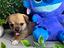 Immagine 3