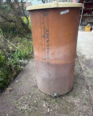 Tino in vetroresina da 300 litri