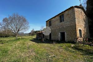 CASA INDIPENDENTE A COLLEVECCHIO