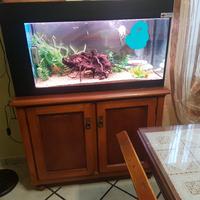 acquario iemme costruzione artigianale 