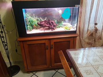 acquario iemme costruzione artigianale 