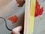 Immagine 5