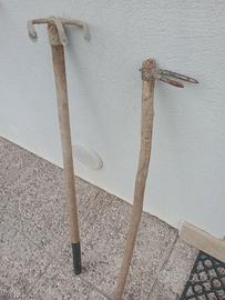 Zappe bidenti e tricorna