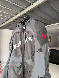Dainese springbok