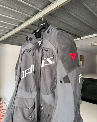 Dainese springbok