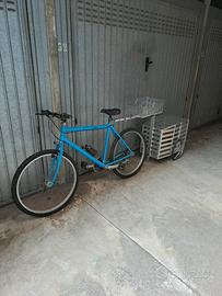 Bicicletta con carrello porta cani/merci