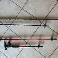 Bastoni da trekking 