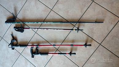 Bastoni da trekking 