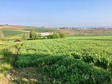 Terreno Agricolo Borgonovo Val Tidone [BV-060VRG]