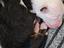 Immagine 6