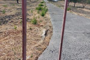Terreno agricolo: 2 lotti confinanti
