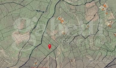 Terreno Agricolo Alvignano [Cod. rif 3212998VCG]