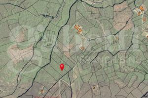 Terreno Agricolo Alvignano [Cod. rif 3212998VCG]