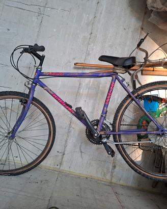 mountain bike