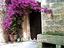 Immagine 19