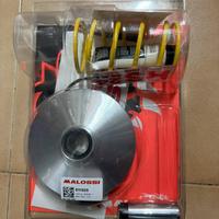 Variatore Malossi Yamaha 250