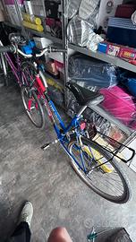 Bicicletta mtb