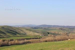 Casolare/rustico immerso nel verde in Val D'Orcia