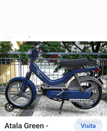 Ciclomotore Atala green