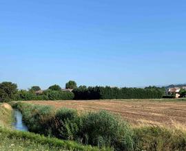 Terreno edificabile ad Orgiano e Asigliano Veneto