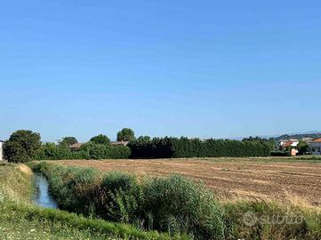 Terreno edificabile ad Orgiano e Asigliano Veneto