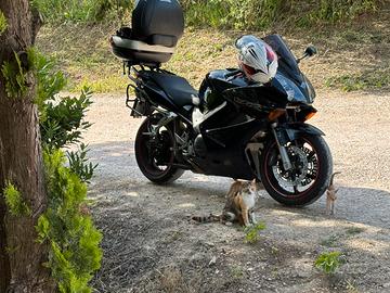 Honda vfr 800 vtec