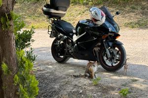 Honda vfr 800 vtec
