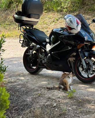 Honda vfr 800 vtec