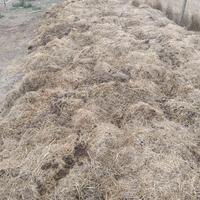 Stallatico, concime, fertilizzante