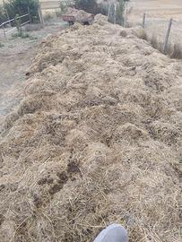 Stallatico, concime, fertilizzante