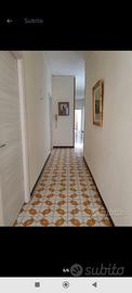 Camere