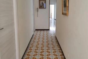 Camere