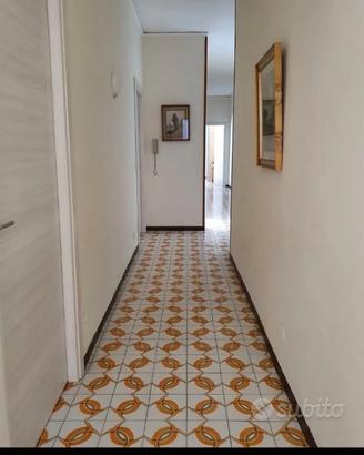 Camere