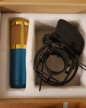 Microfono a condensatore Neewer + cavo XLR