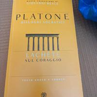Platone , dialoghi socratici