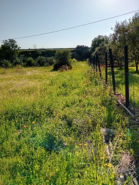 Terreno vicino zona urbana