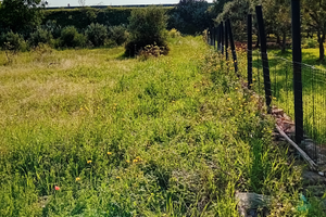 Terreno vicino zona urbana