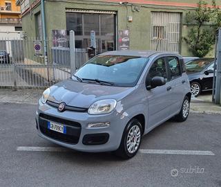 FIAT Panda 1.2 69 cv Easy
