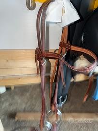 Cavallo