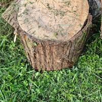 Legna da ardere o per lavoretti