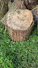 Legna da ardere o per lavoretti