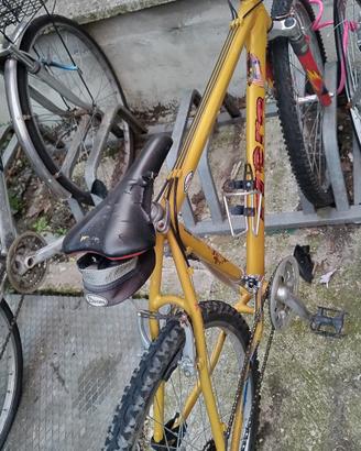 bicicletta 