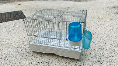 gabbietta da trasporto